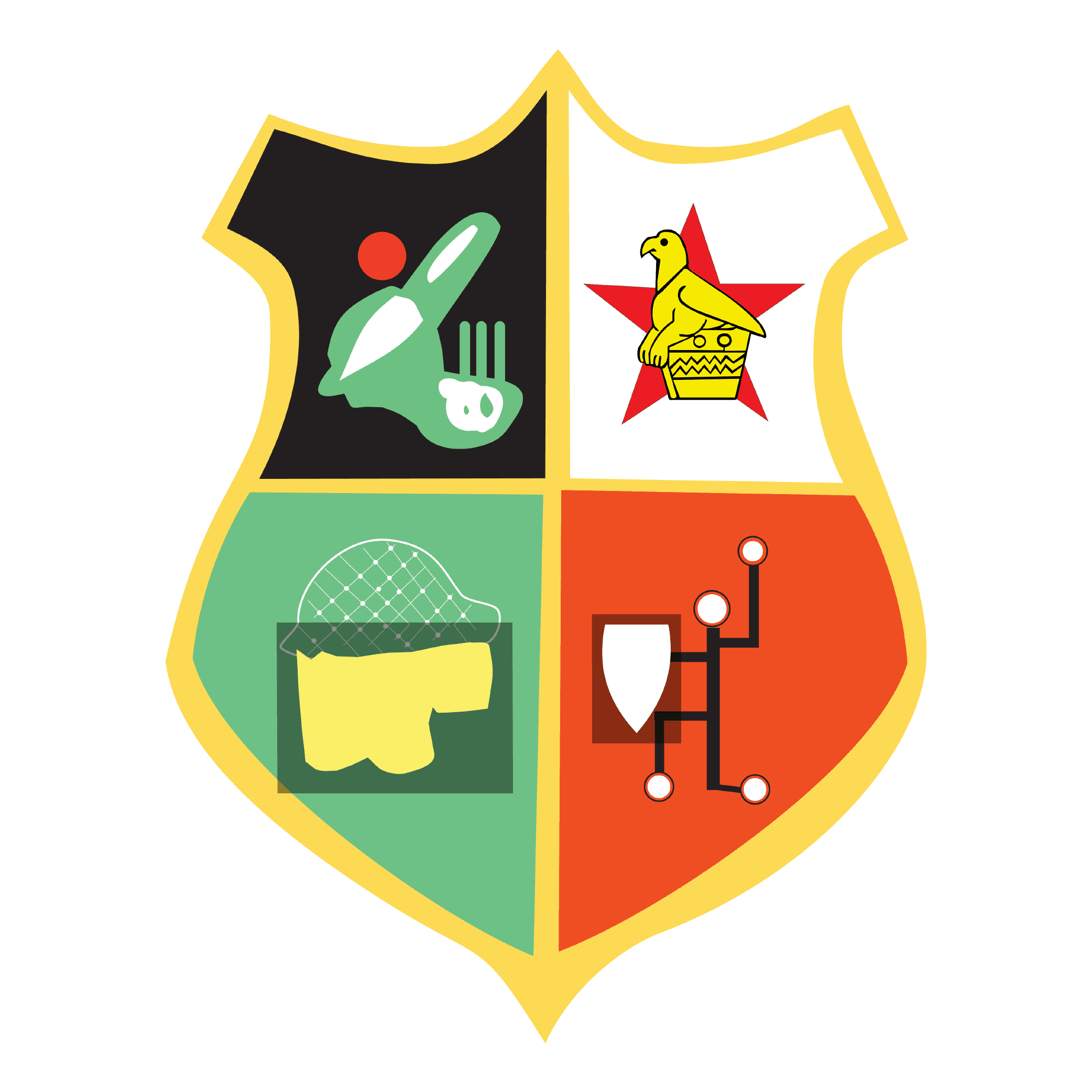 Takashinga Cricket Club